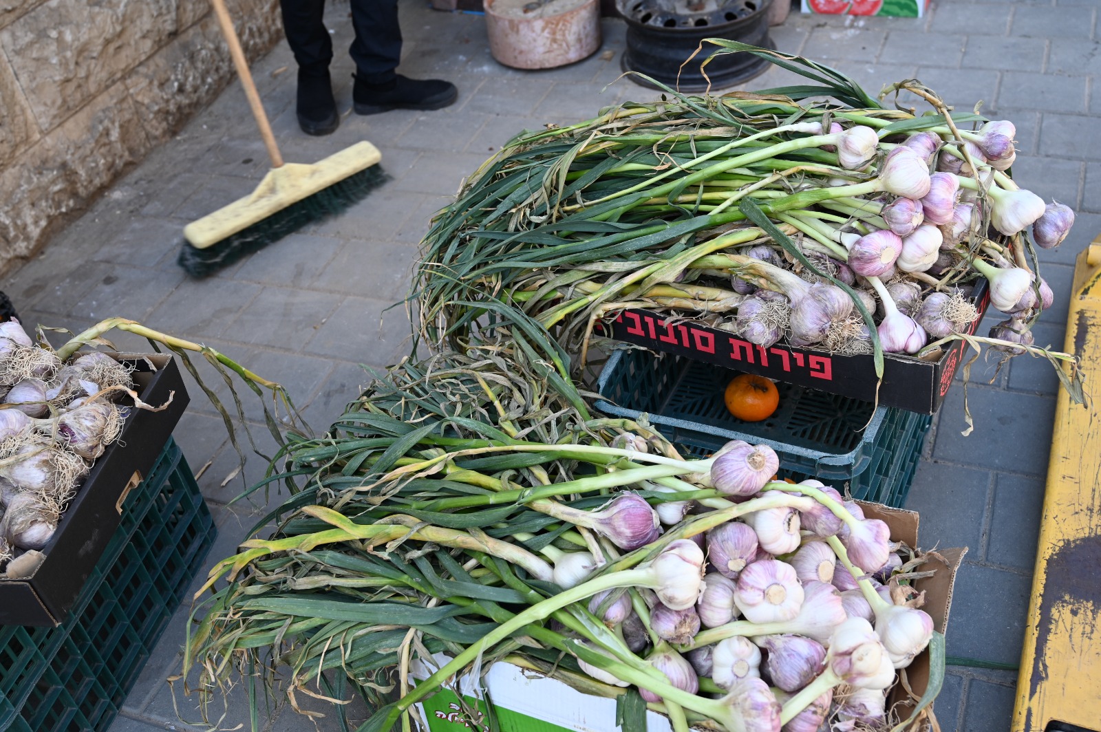 WhatsApp Image 2022-03-29 at 1.25.32 PM.jpg